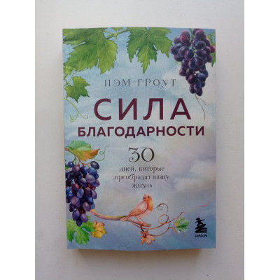 Сила благодарности. 30 дней, которые преобразят вашу жизнь. Пэм Гроут 