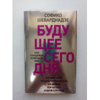 Будущее сегодня. Как пандемия изменила мир. Софико Шеварнадзе