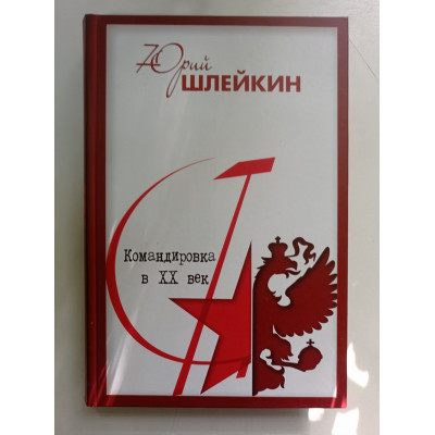 Командировка в XX век. Отчет о жизни, делах и встречах. Юрий Шлейкин