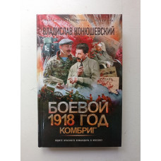 Боевой 1918 год. Комбриг. Владислав Конюшевский