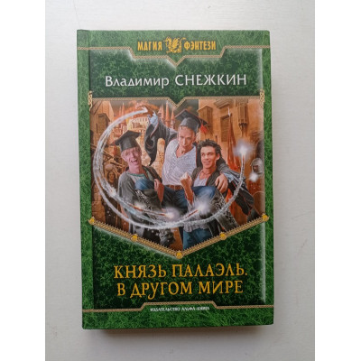 Князь Палаэль. В другом мире. Владимир Снежкин