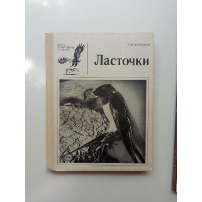 Ласточки. Марк Колоярцев Ласточки. Марк Колоярцев