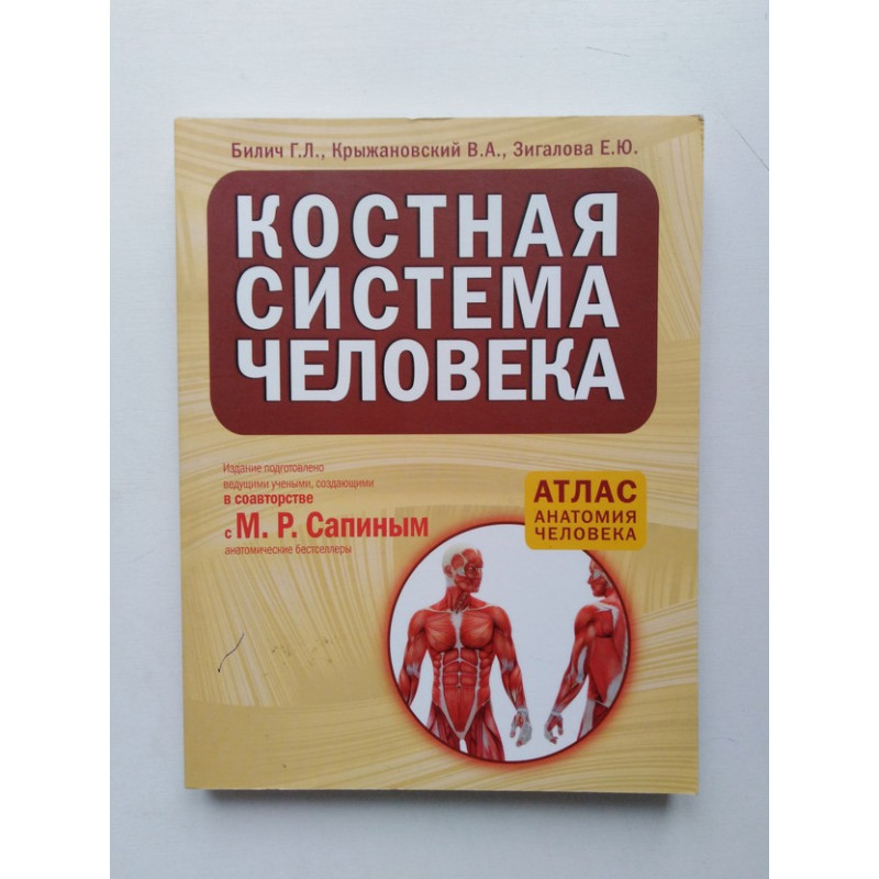 Анатомия человека г л Билич в а Крыжановский. Сапин Билич анатомия человека. Атлас анатомии Билич Крыжановский. Костная система человека.