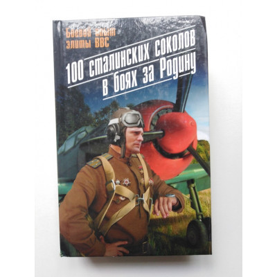 100 сталинских соколов в боях за Родину. Боевой опыт элиты ВВС. 2013 